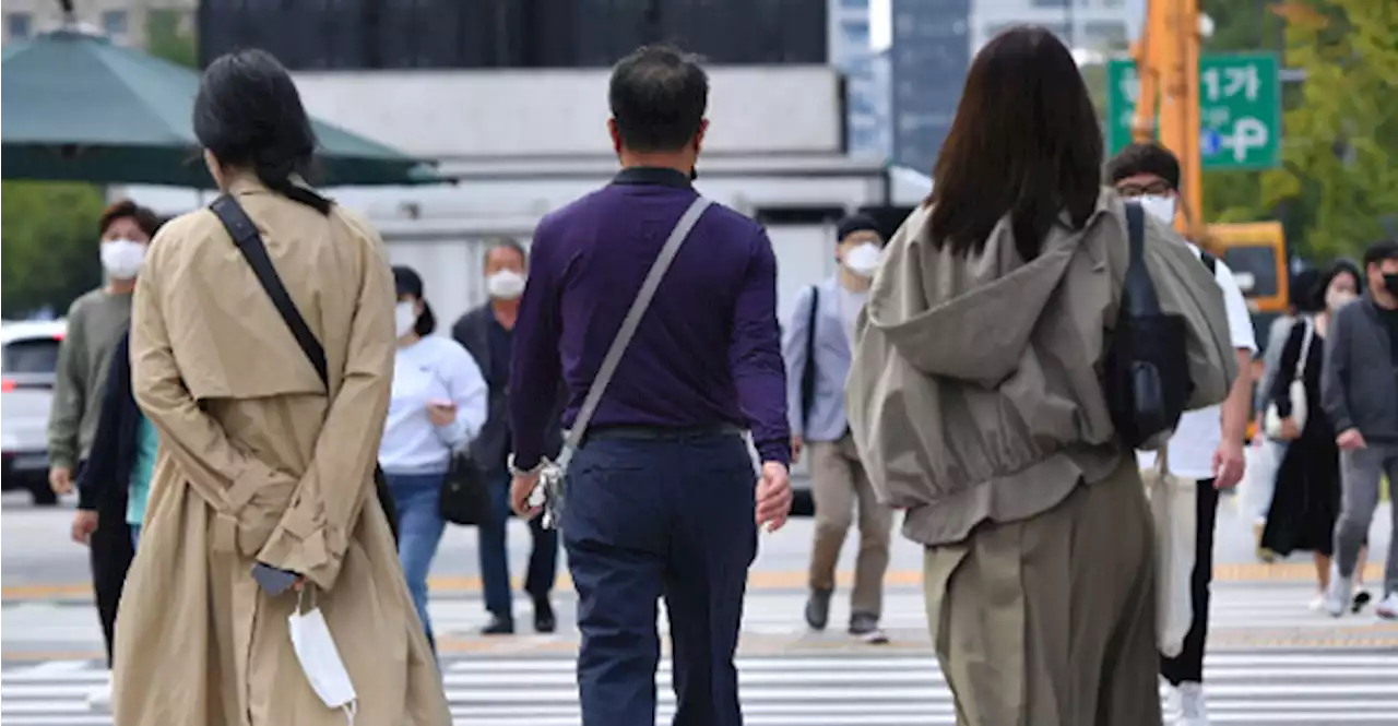 정규직과 비정규직 월평균 임금 격차 160만 원