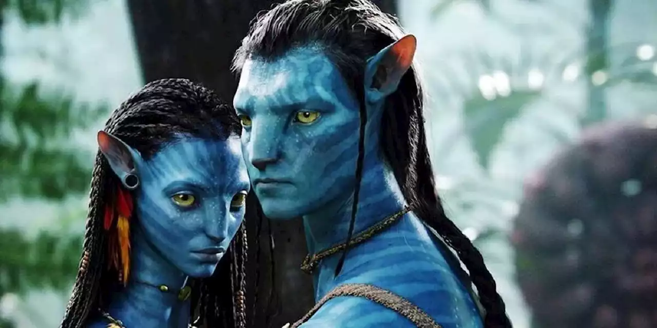 James Cameron Blasts 3D Movies Fad After Avatar's Success