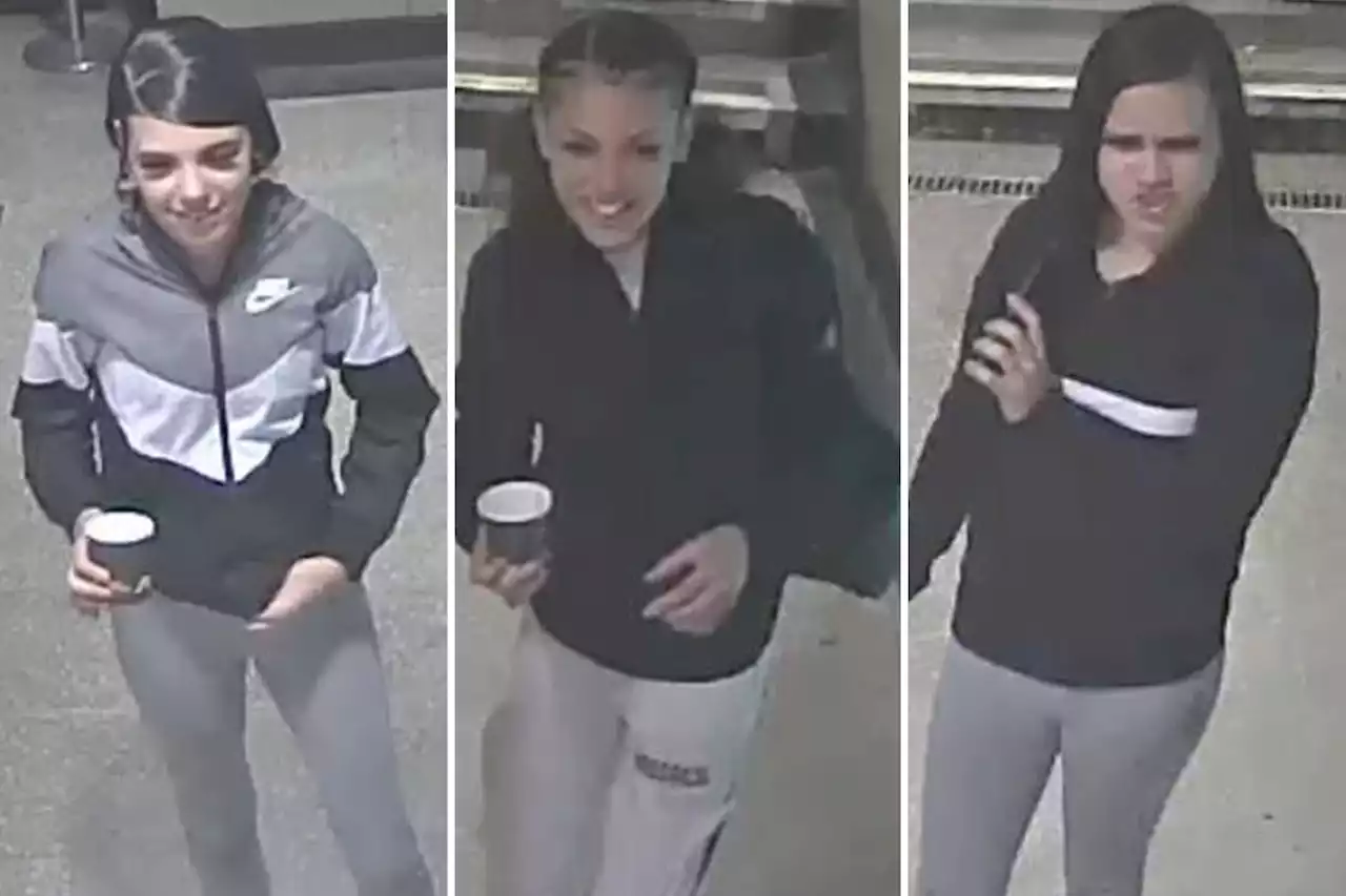 Hunt for 3 girls who 'attacked 2 women & stamped on them at Tube station'