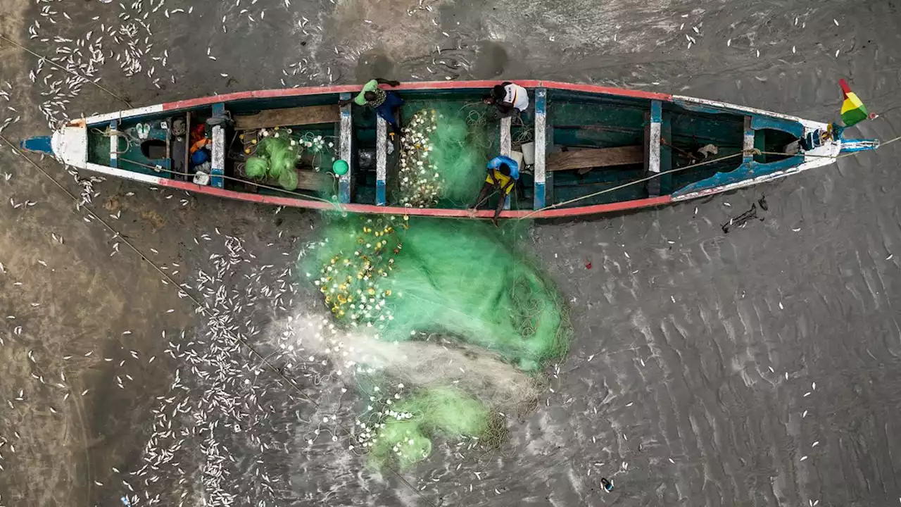 How a third of all fish caught in the ocean is turned into something that no one eats