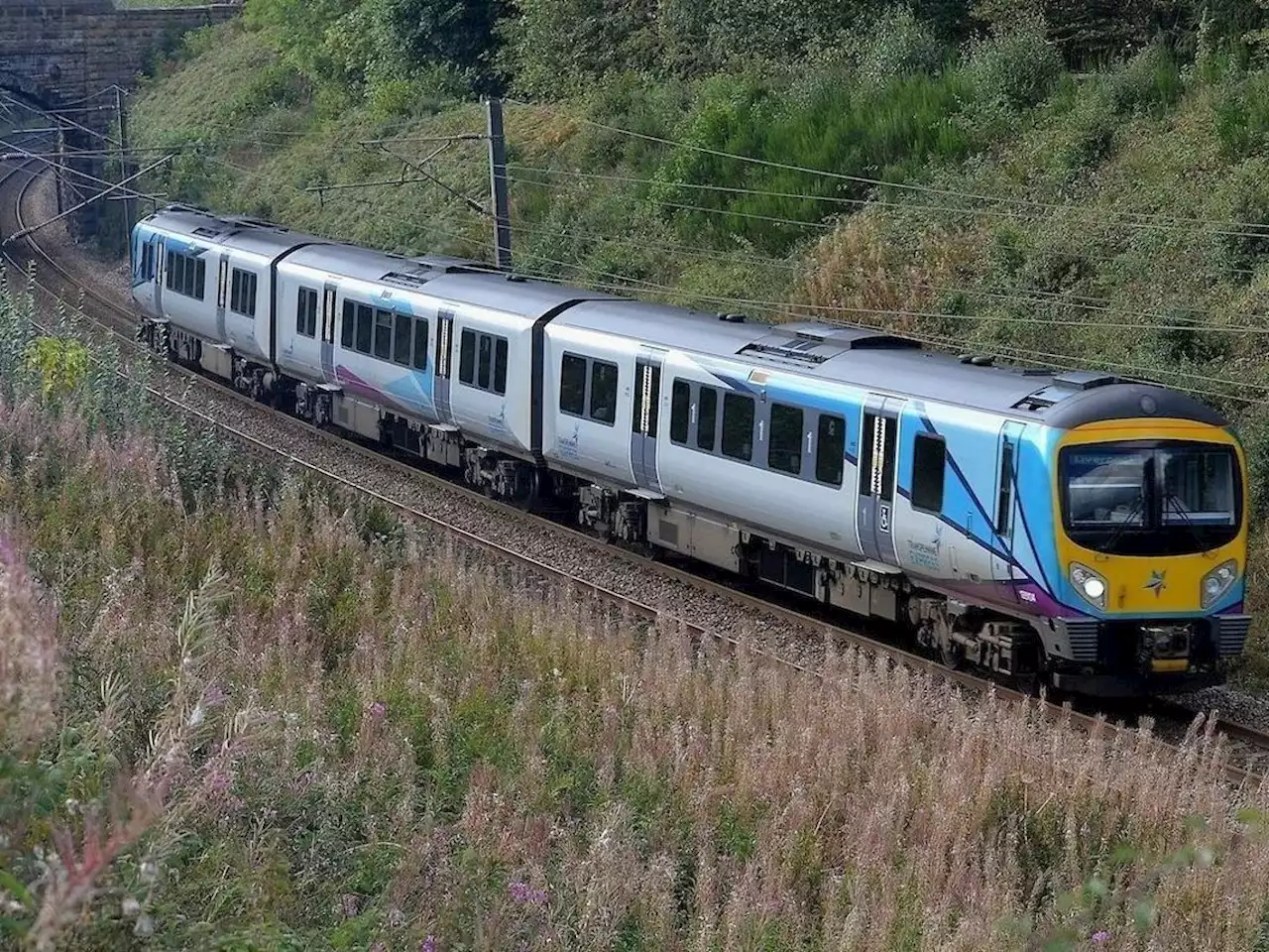 TransPennine Express told to come up with 'immediate solution' to end 'chaos'