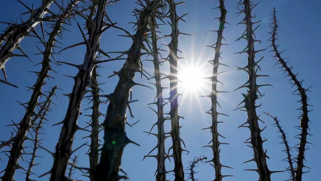 Heat deaths in Maricopa County outpace last year's, raises concerns about protecting vulnerable people