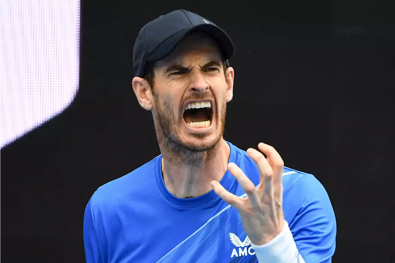 Andy Murray an den Swiss Indoors – Der Mann mit der eisernen Hüfte kanns nicht lassen