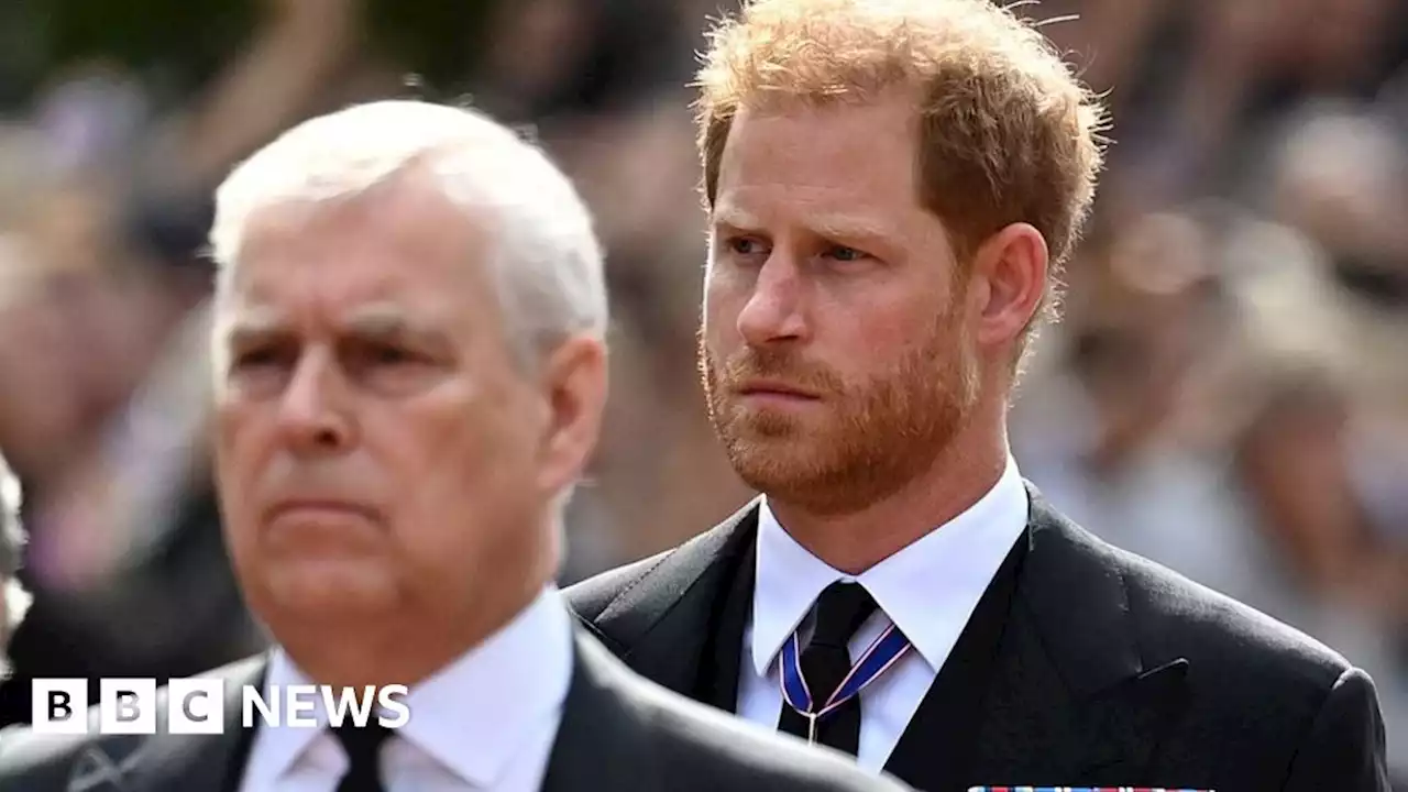 Prince Andrew and Prince Harry royal counsellor roles challenged