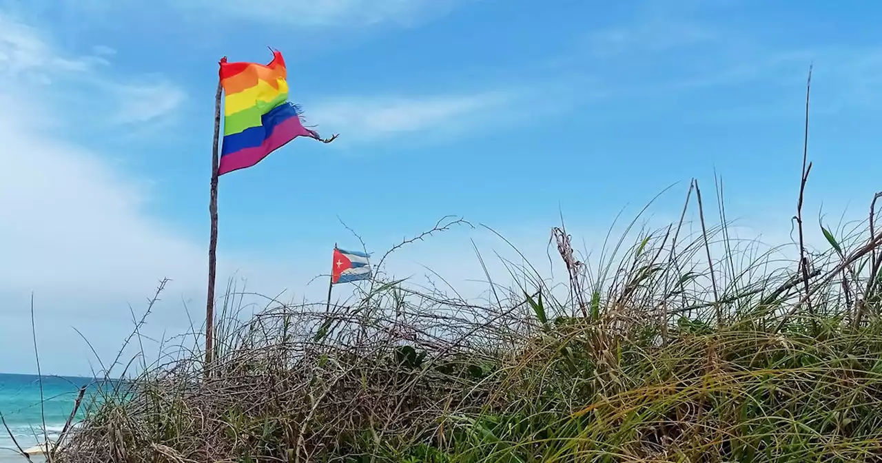 Gay couples in Cuba get married under new law