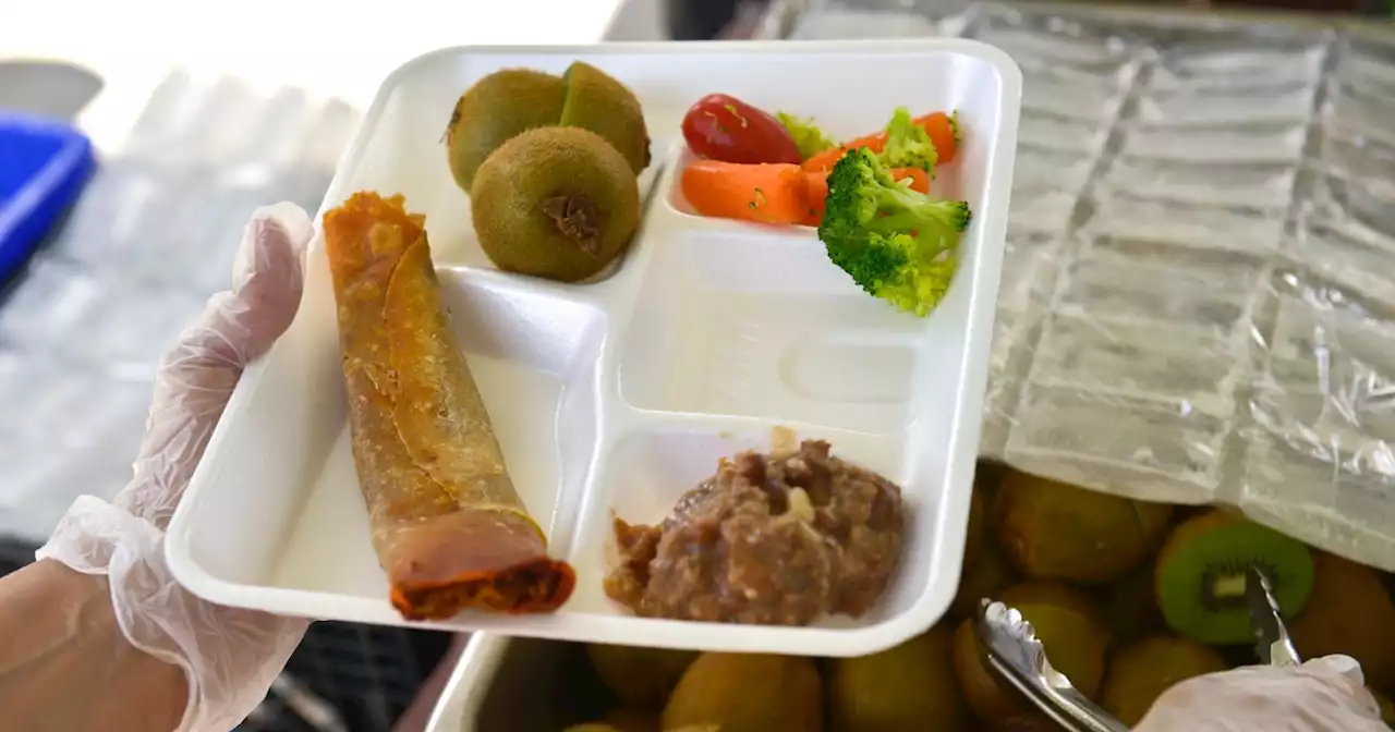 Opinion | Green Schools Start With Greener Lunches: NYC Public Schools Are Plant-Based Leaders