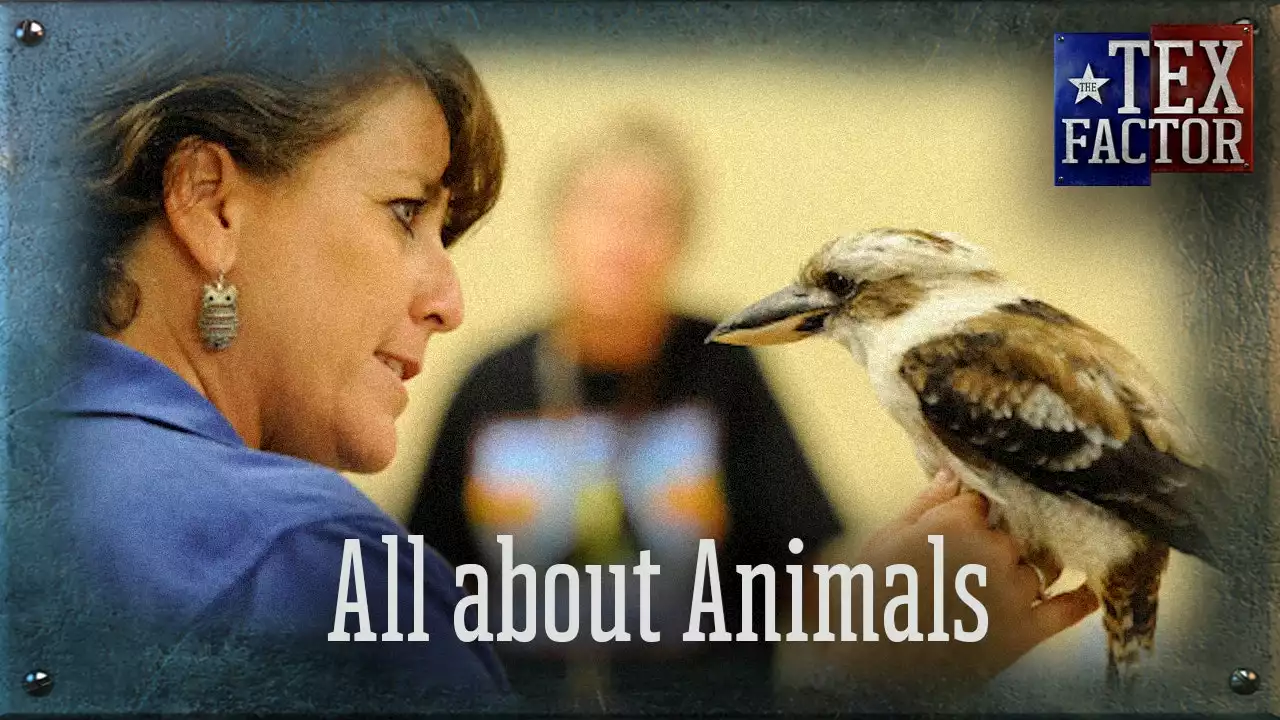 The Tex Factor: All About Animals