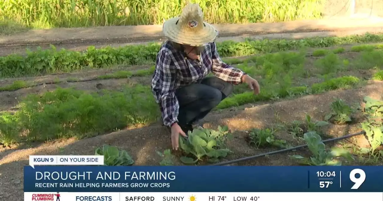 Recent rain helping some farmers but damaging to others