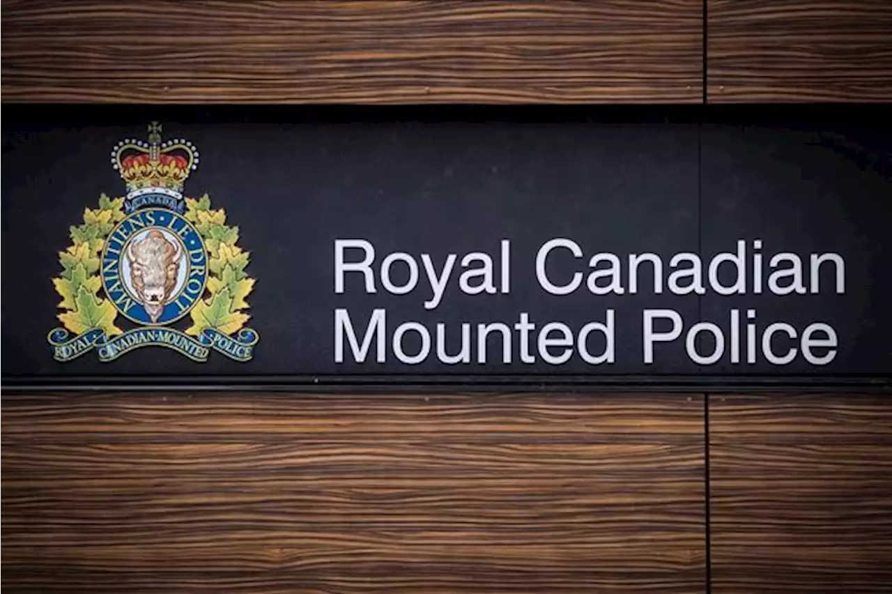 Quebec RCMP say Canadian woman returning from Syria faces terrorism charges | National Newswatch