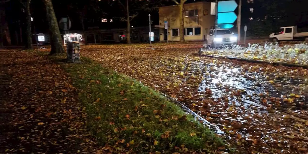 Viele Unfälle: Laub auf Strasse ist «ähnlich gefährlich wie Schnee»