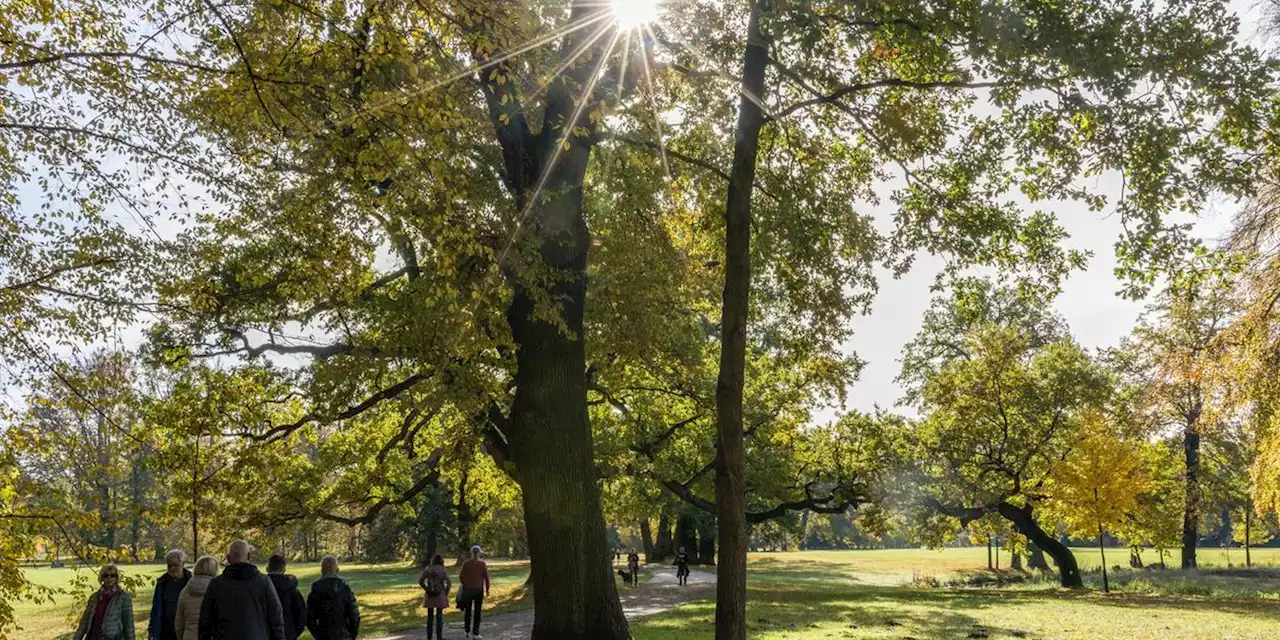 Mit Rekordtemperaturen: Dieses Wetterphänomen sorgt für Hitzewellen im Herbst