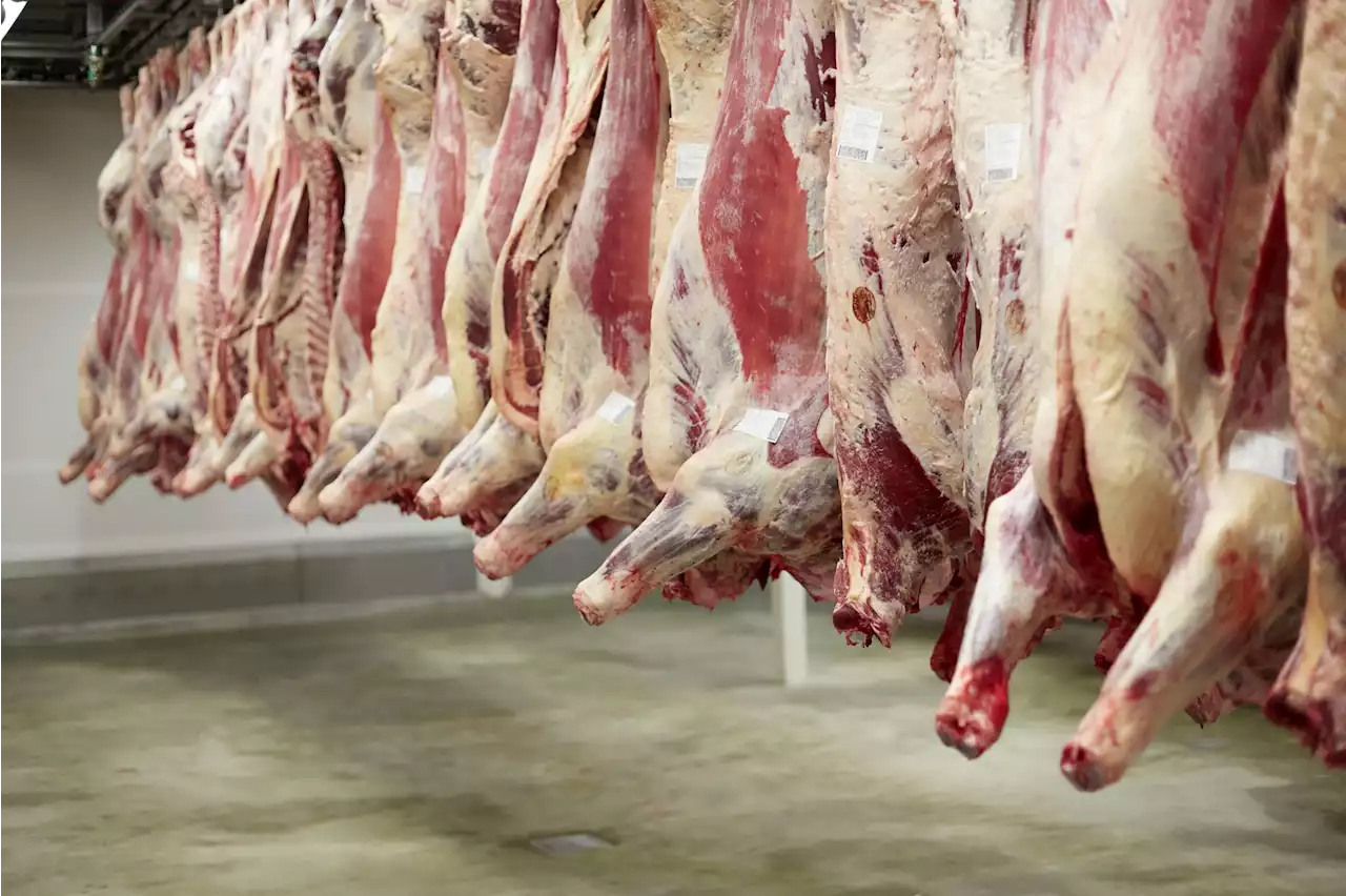 Fleisch und Zucker: EU-Zugeständnisse an Australien - Schweizer Bauer