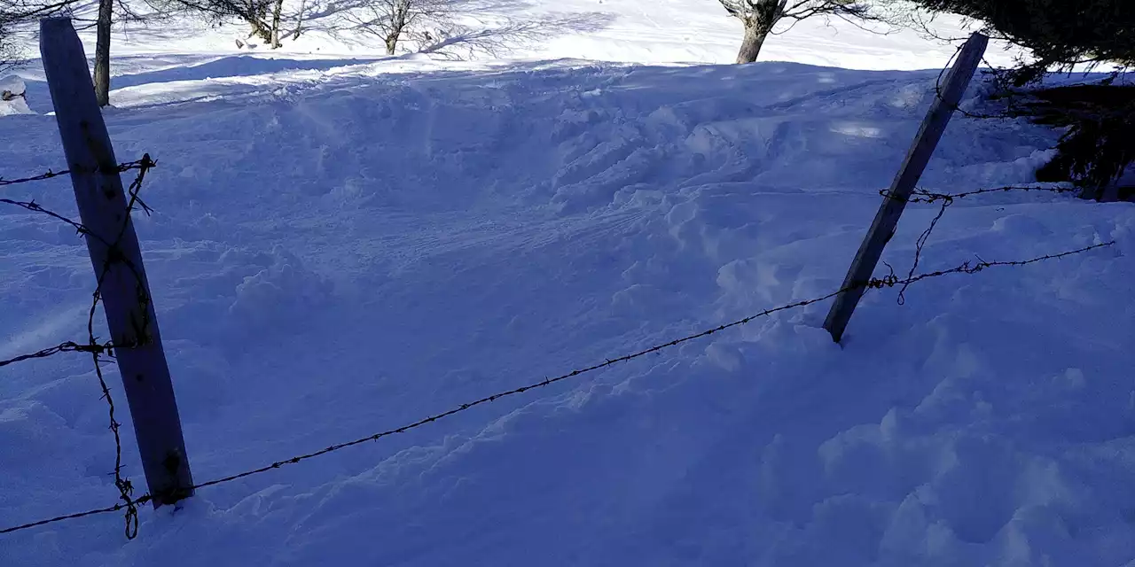 Unfallgefahr durch Weidezäune im Winter - Schweizer Bauer