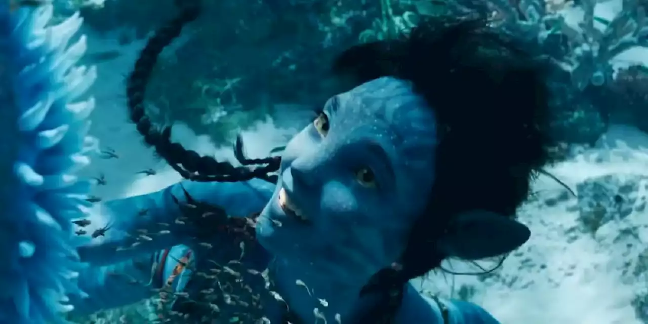 James Cameron Had Main Avatar 2 Cast Do Underwater Breath-Holding Training