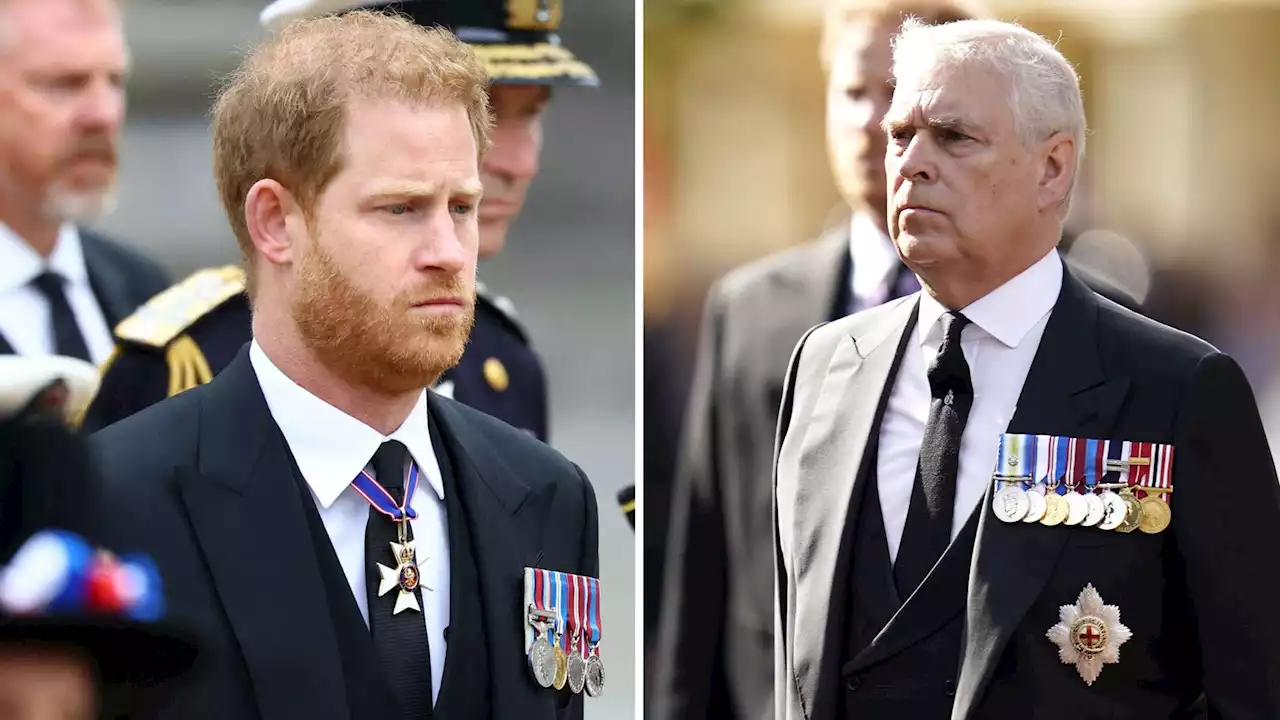 Prince Andrew's and Prince Harry's ability to step in for the King challenged in House of Lords