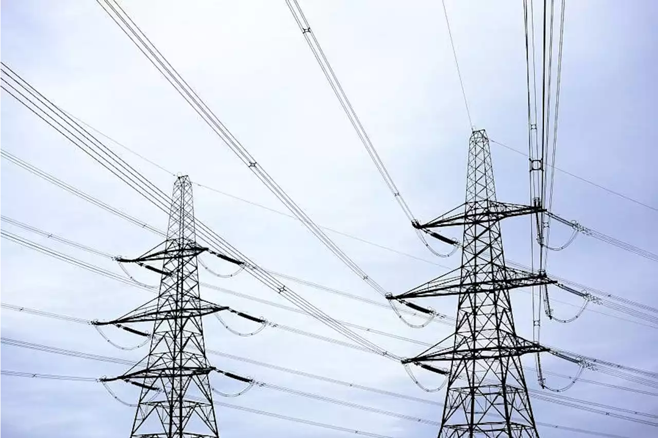 Regional connectivity needs to be enhanced for clean energy trade: Tan See Leng