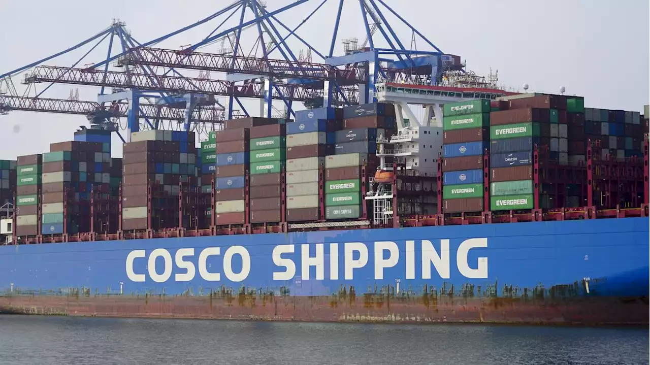 China-Kompromiss am Hamburger Hafen: Mehrere Ministerien protestieren erneut gegen Cosco-Einstieg