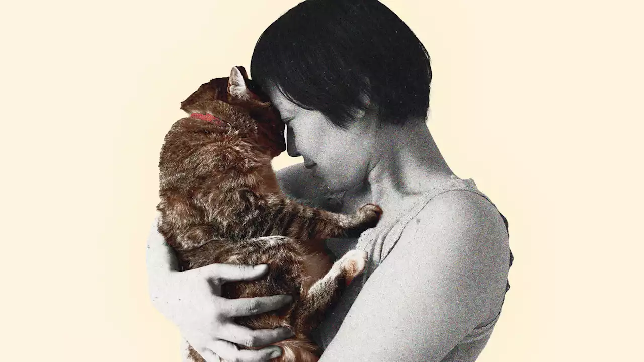 Your Cat Likely Loves You More Than You Think. Here’s Proof.