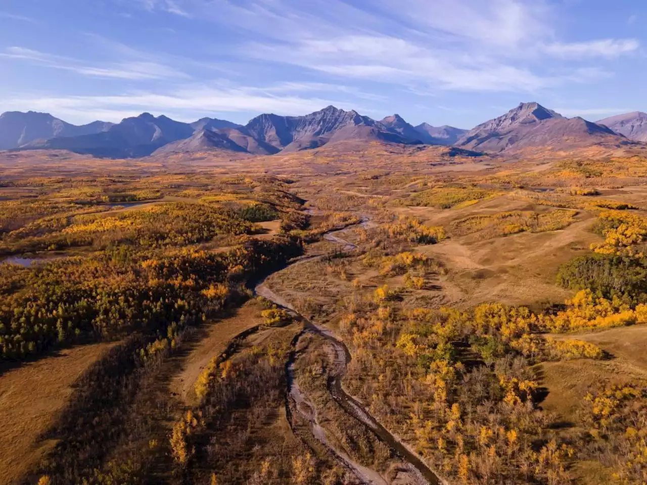 Nature Conservancy announces campaign to save landscape in southern Alberta