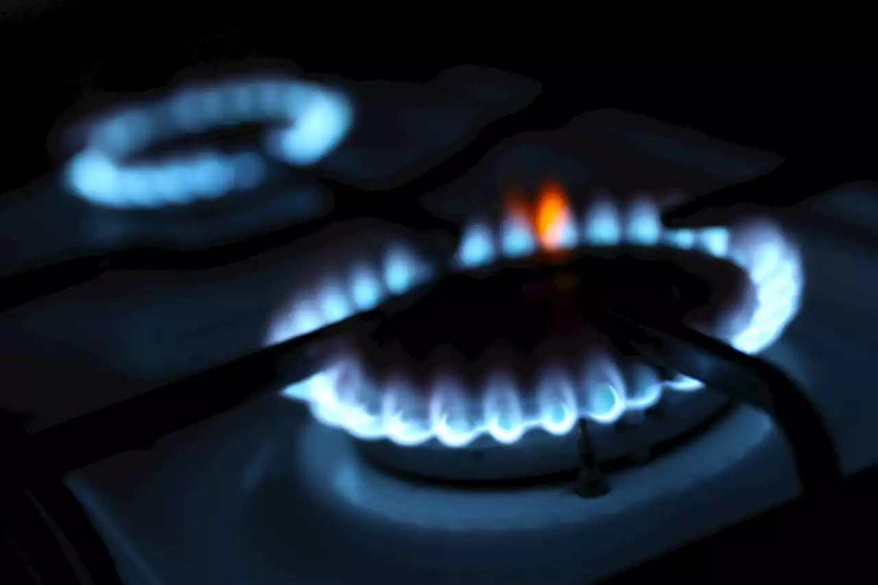 Energy bill help worth up to £3,435 as nearly half of households struggle