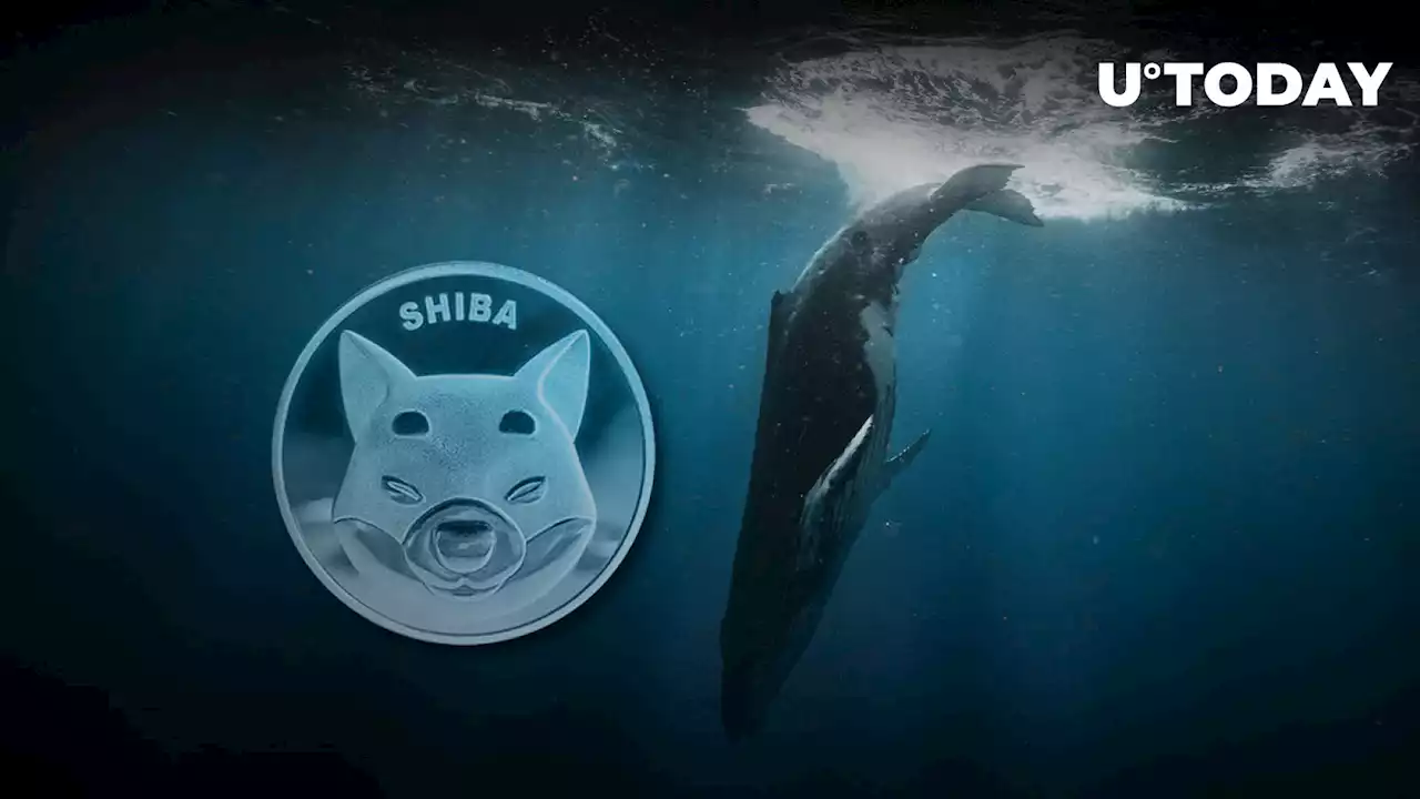 Whale Parts with 3.3 Trillion SHIB, Now Holds Zero Coins: Details