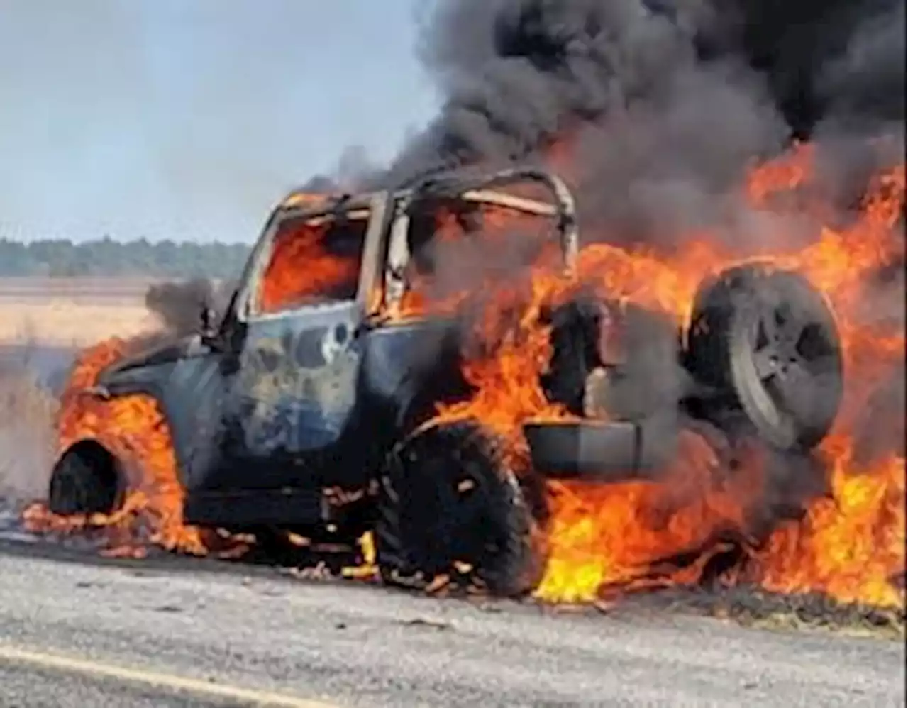 Dozens of Ga. ballots potentially lost after USPS car goes up in flames