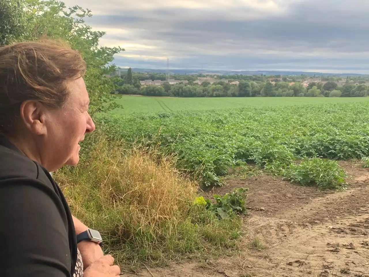 Prehistoric, Roman and medieval remains could be found at energy farm in Yorkshire