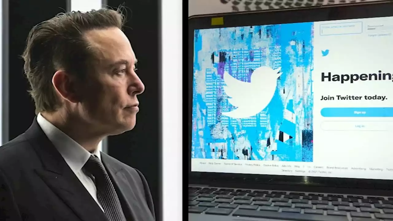 Elon Musk posts video of himself strolling into Twitter headquarters in San Francisco