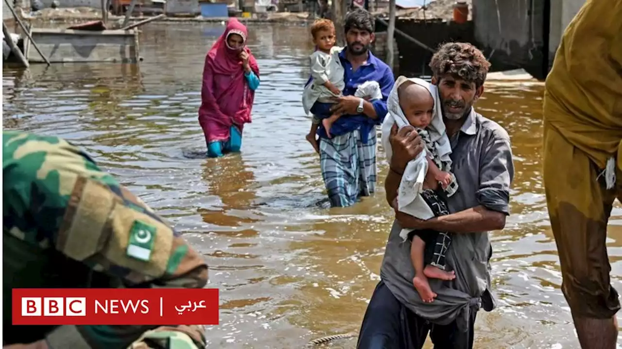 الأمم المتحدة تصدر تقريراً متشائماً مع استمرار حرارة الكوكب بالارتفاع - BBC News عربي
