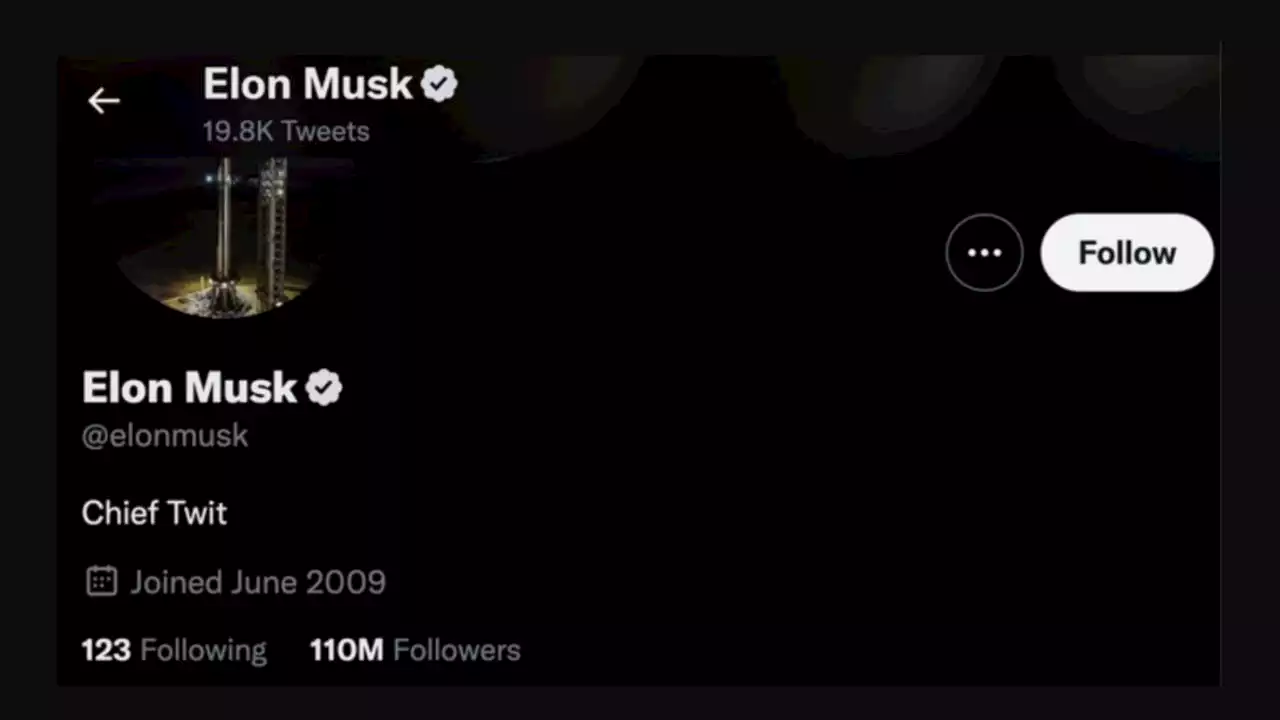 Elon Musk changes his twitter profile to 'chief twit' and adds new location