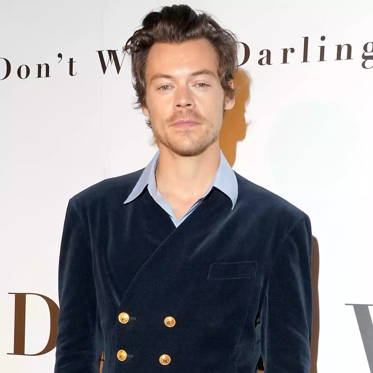 Harry Styles Is Nearly Unrecognizable With Bushy Beard and a Tail 'Music For a Sushi Restaurant' Video - E! Online