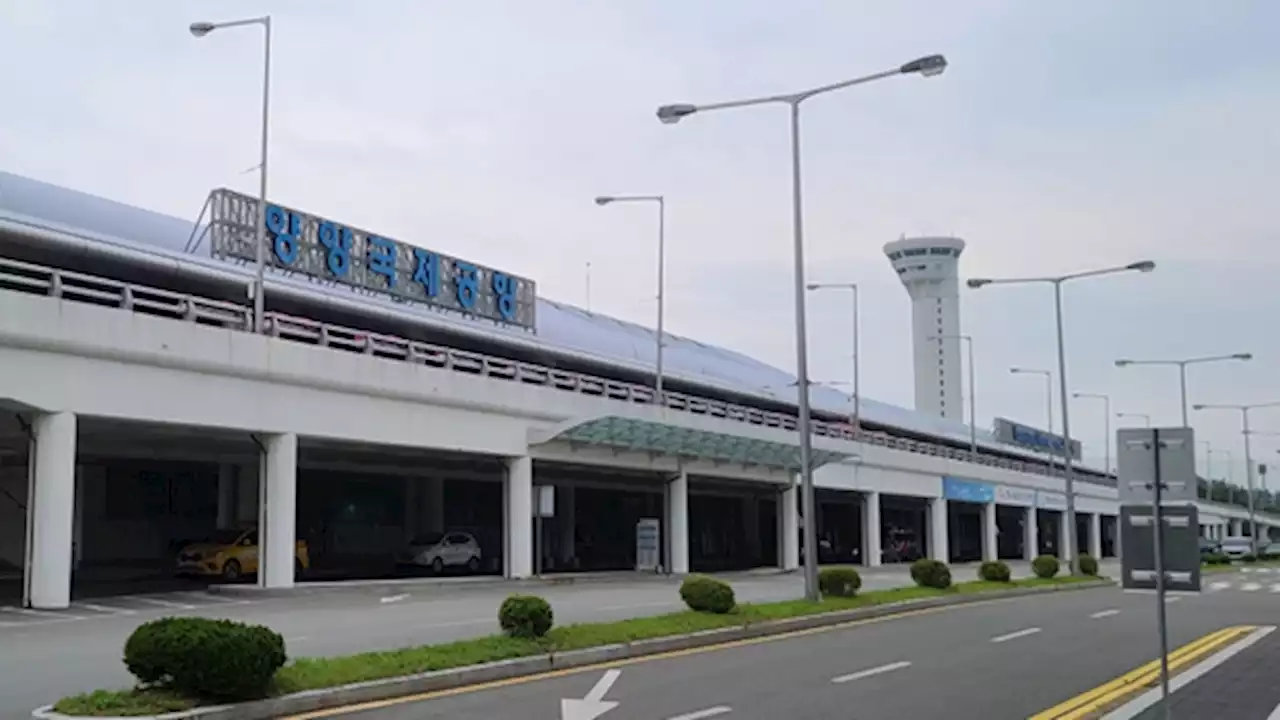 '무비자 입국' 베트남 여행객 무더기 잠적…항공편 잠정 중단