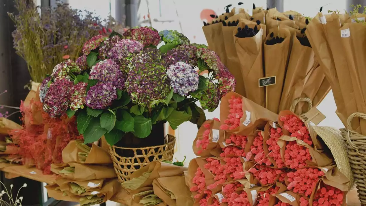 Une énorme vente de fleurs séchées sur 300 m² organisée pendant 2 jours à Lille