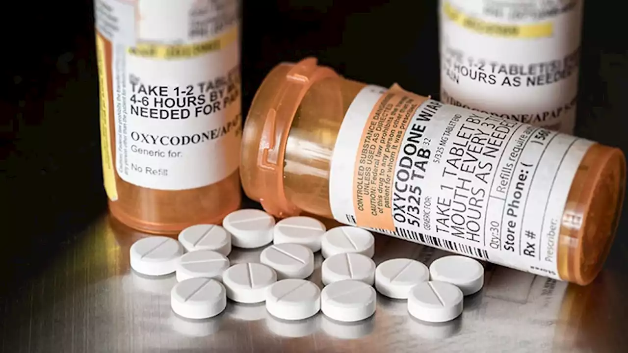 Taking Prescribed Opioids Tied to Low Rates of Illicit Drug Use