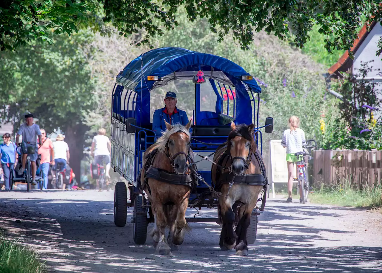 Skurriler Corona-Ersatzverkehr auf dieser Ostsee-Insel