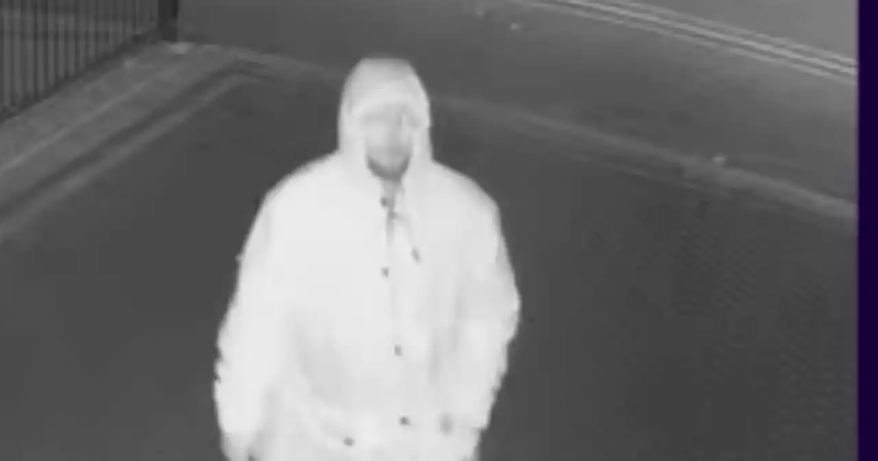 Police appeal after 'despicable' early morning burglaries