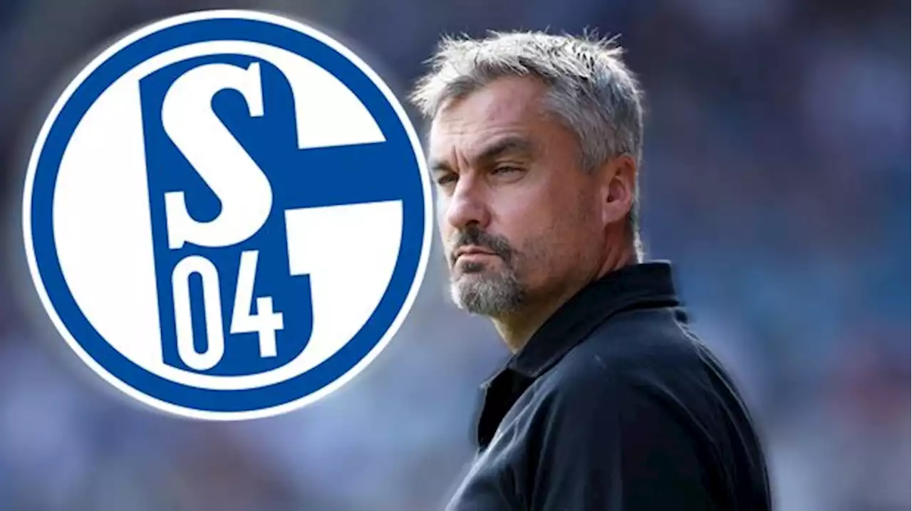 Bundesliga - FC Schalke 04: Fix! Thomas Reis wird neuer Trainer - die wichtigsten Aussagen aus der Pressekonferenz