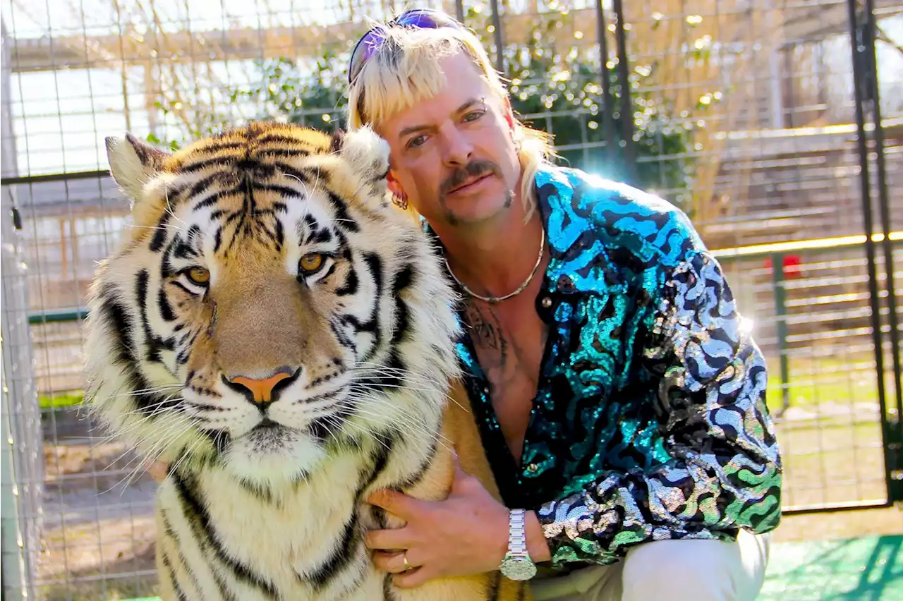 Is Andrew Tate Really Paying All of Joe Exotic's Legal Bills?