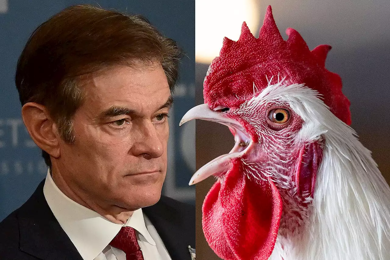 Watch Dr. Oz Barely Avoid Endorsing Organic or Otherwise Fancy Chicken