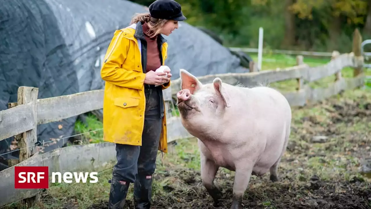 Frauen in der Landwirtschaft - Bäuerinnen sind heute sozial besser abgesichert