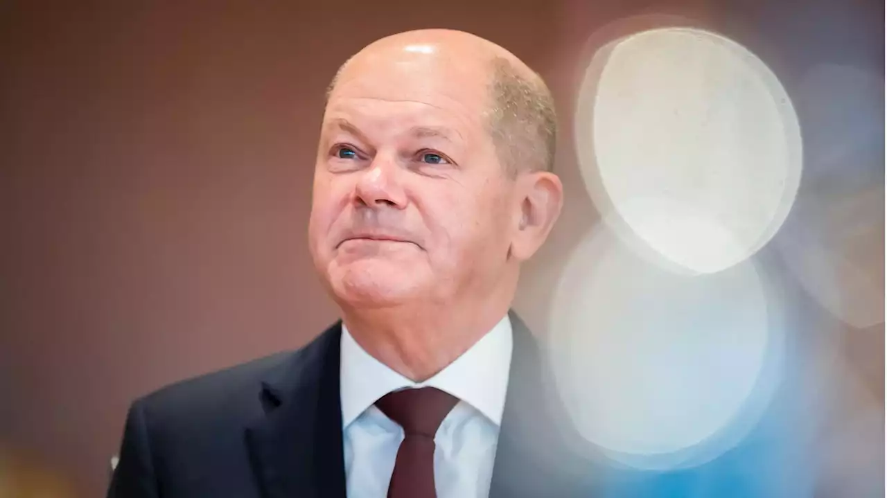 Fürs Protokoll: Scholz' Ampel-Partner protestieren gegen den Cosco-Kompromiss