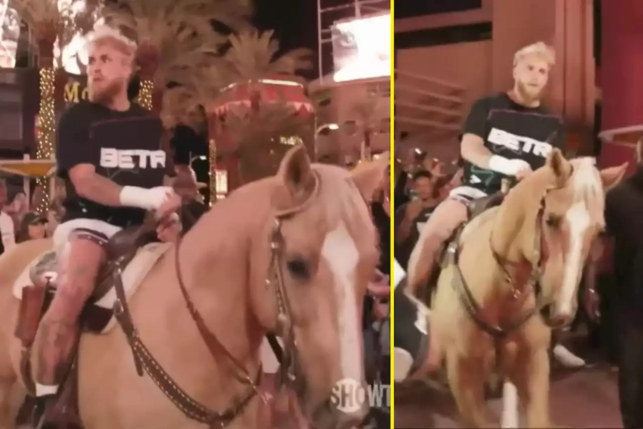 Jake Paul rides into open workout on a horse ahead of Anderson Silva fight