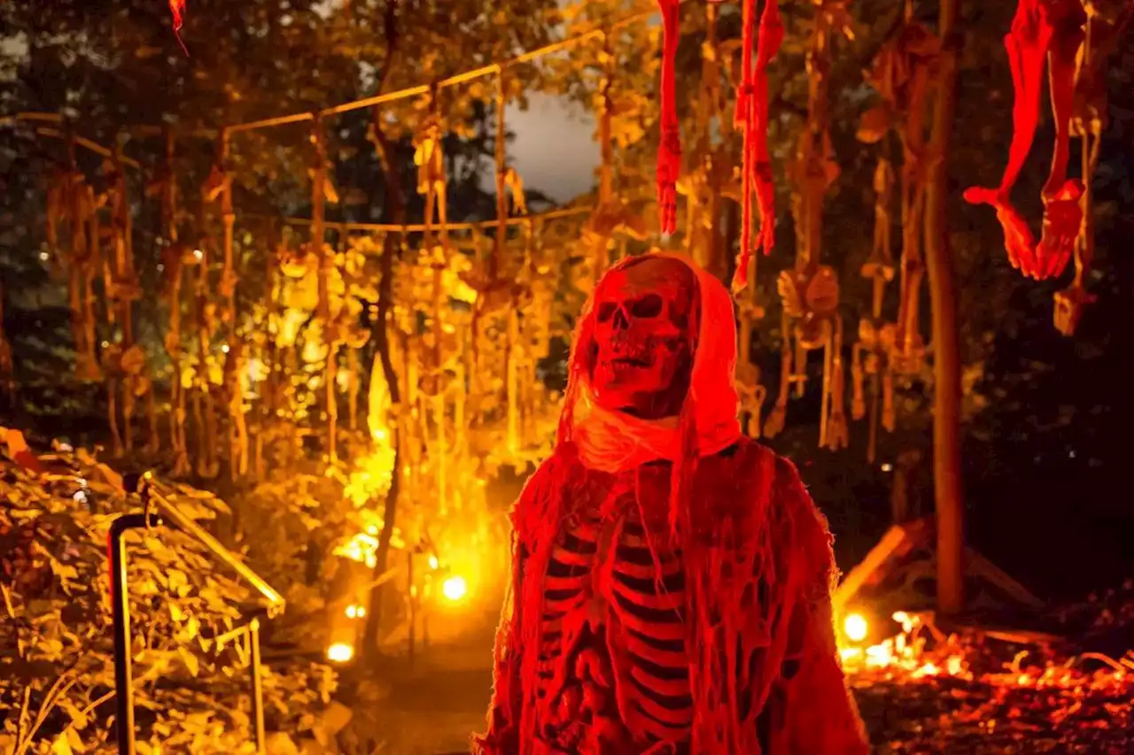 What to do in Toronto this Halloween weekend: Oct. 28 to 30