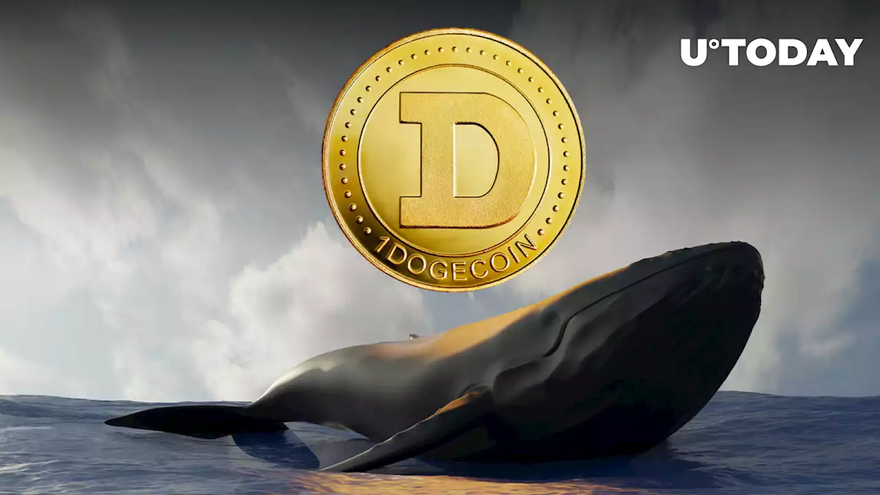 Dogecoin (DOGE) Whales Return as DOGE Rise Above $0.072