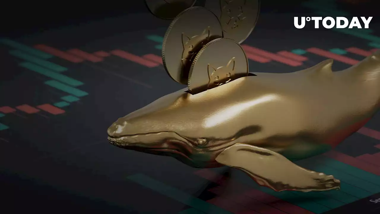 Whales Respond to SHIB Price Surge with Astonishing Fund Movements