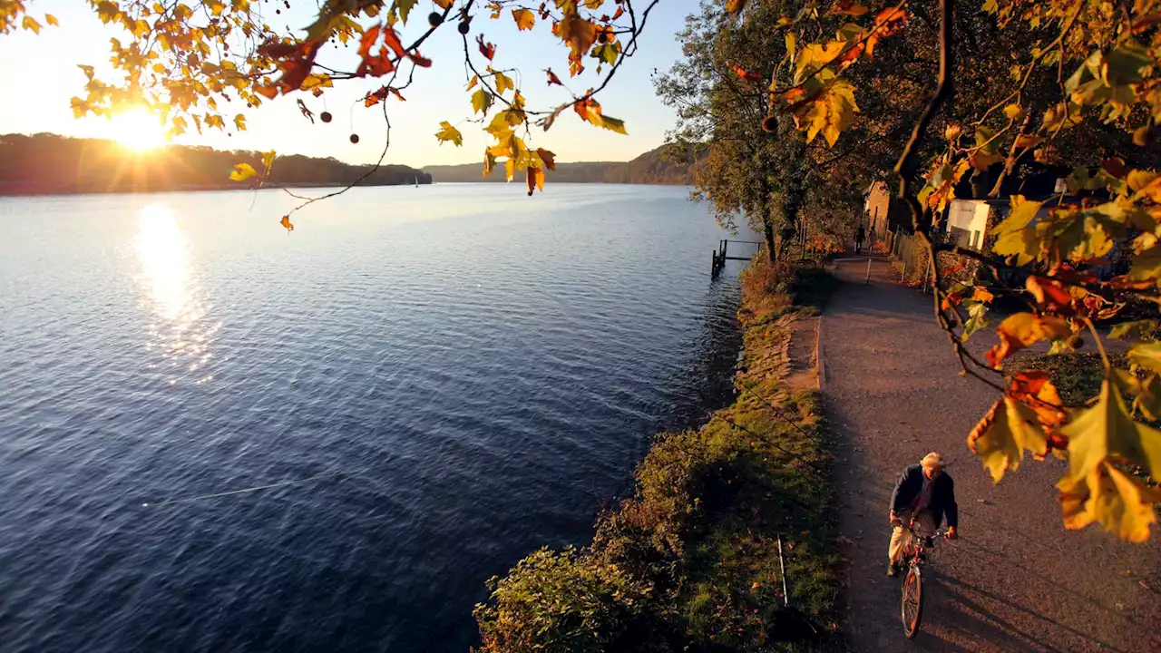 25 Grad im Oktober: Was bedeutet der warme Herbst für Pflanzen und Tiere?