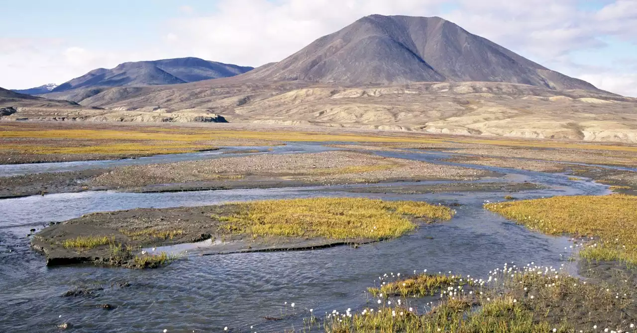 Thawing Permafrost Exposes Old Pathogens—and New Hosts