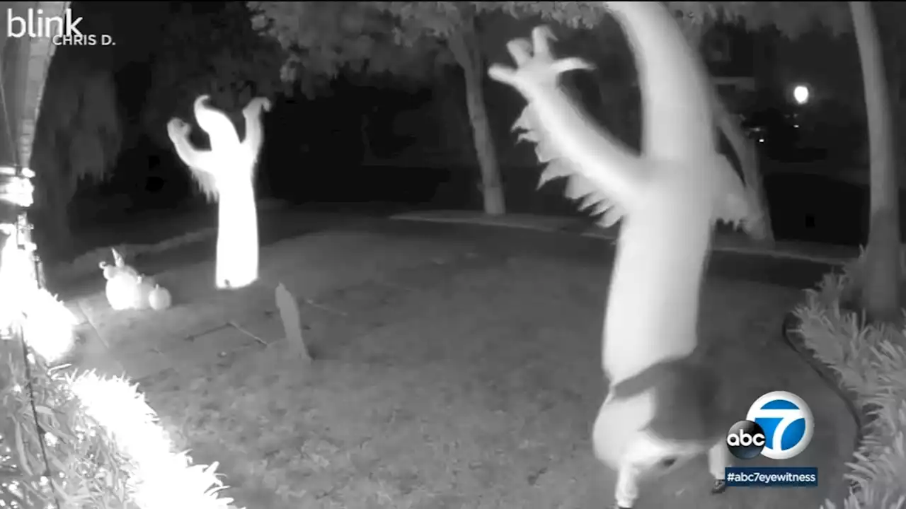 Caught on camera: Thief steals Halloween decoration from San Marino home