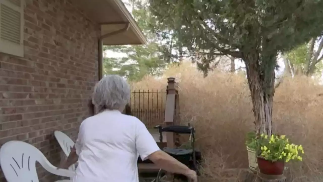 Tumbleweeds take over Colorado couple's property: 'Like a horror movie'