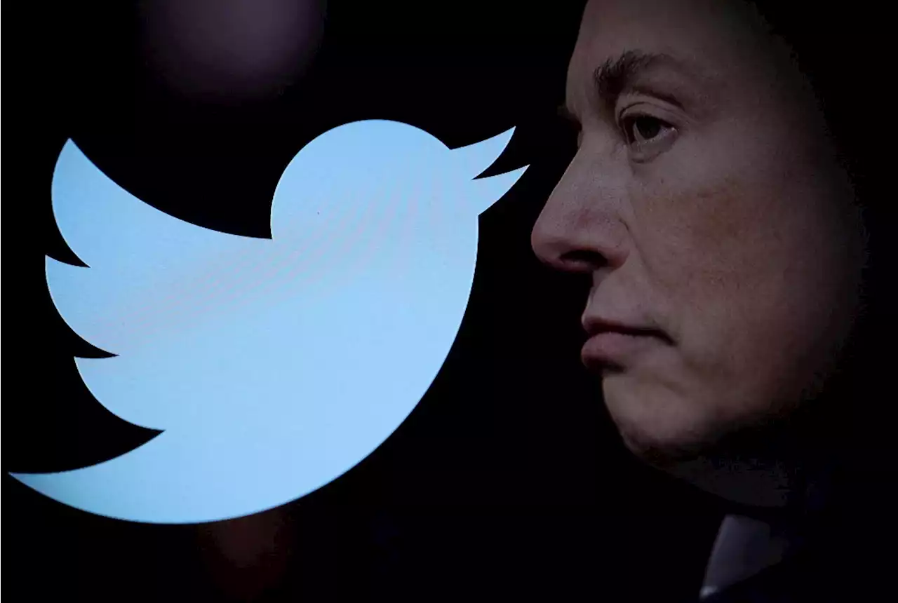 Elon Musk says he'll be 'digging' into shadow bans on his first day at Twitter | Businessinsider